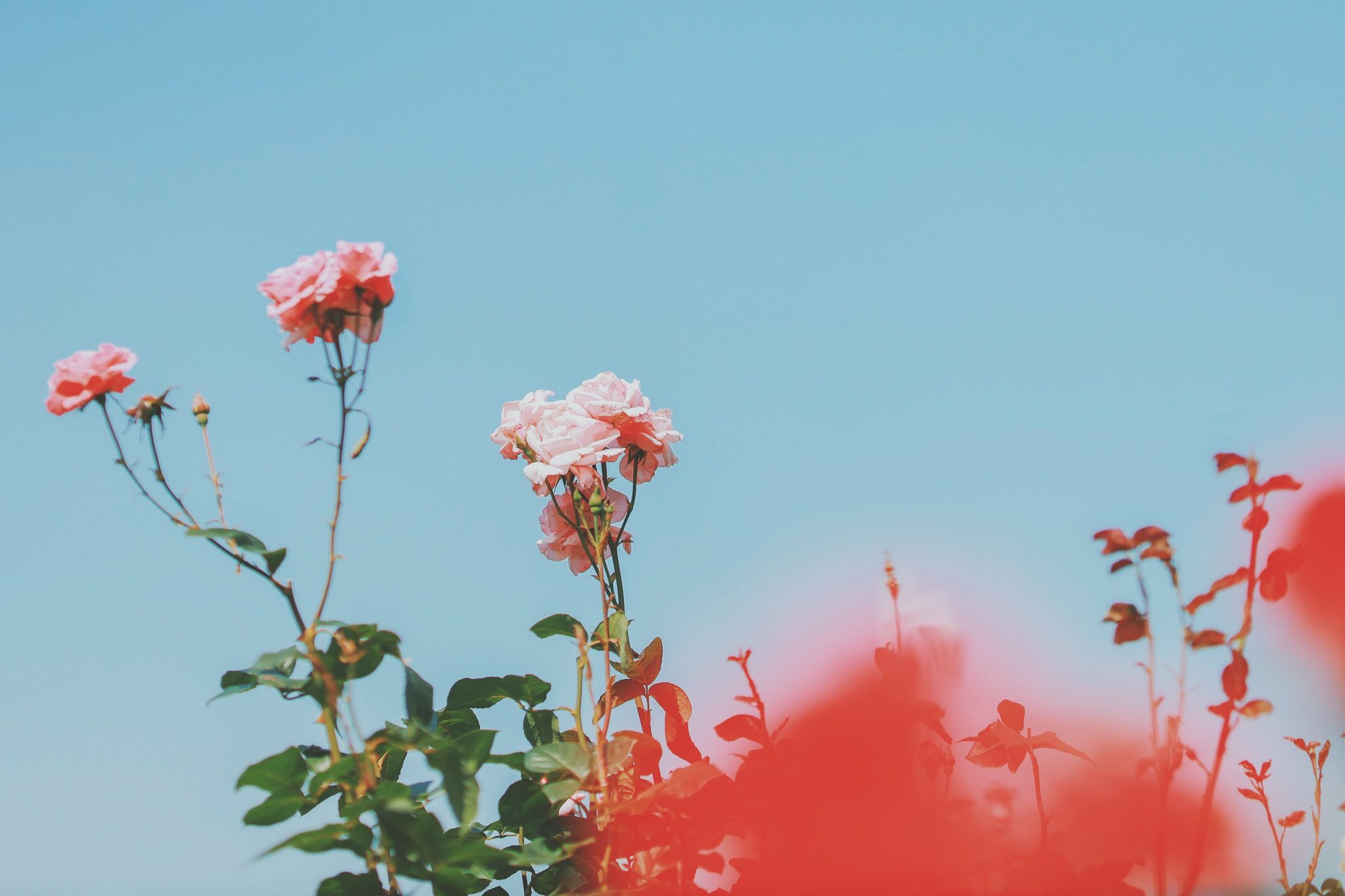 Featured image of the post